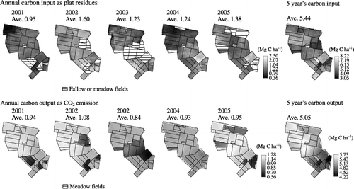 Figure 6  Carbon input as plant residues and carbon output as CO2 emission from 2001 to 2005 and 5 years results. The upper figures show distribution patterns of annual carbon input as plant residues from 2001 to 2005, and right figure shows 5 years carbon input. The lower figures show distribution patterns of annual carbon output as CO2 emission from 2000 to 2005, and right figure shows 5 years carbon output.