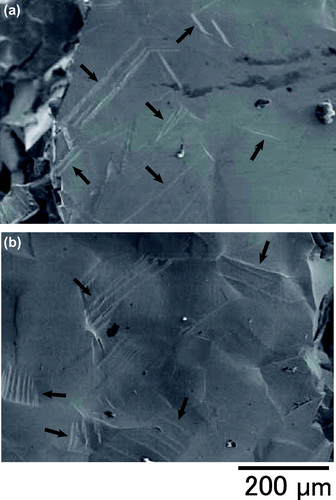 Figure 3. (a) and (b) show enlarged images of Figure 2(e) and (f), respectively. Arrows in the figure indicate deformation twins.