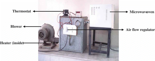 Figure 2 Experimental microwave-air drying apparatus.