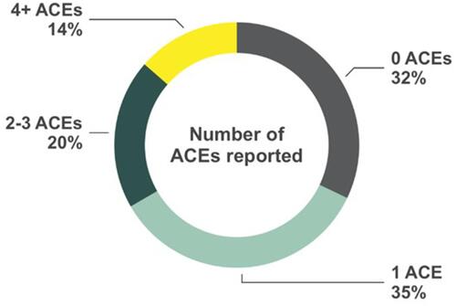 Figure 1 The prevalence of total ACEs reported (N = 80).