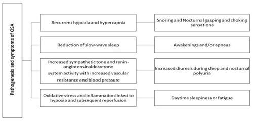 Figure 1 Symptoms of OSA and underlying mechanism.