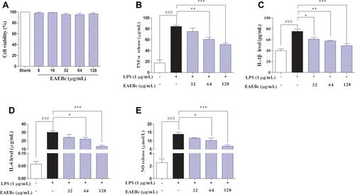 Figure 1 In vitro effects of EAEBc on LPS-induced inflammation in RAW264.7 cells.