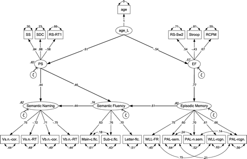 Figure 5. Measurement and structural part of the most parsimonious M10 (see Table 4, section III), representing the relations (expressed in standardized coefficients) between age_L (age represented as a latent variable), Processing Speed (PS), Executive Functioning (EF), Episodic Memory, Semantic Fluency, and Semantic Naming within the elderly sample (55–96 years).