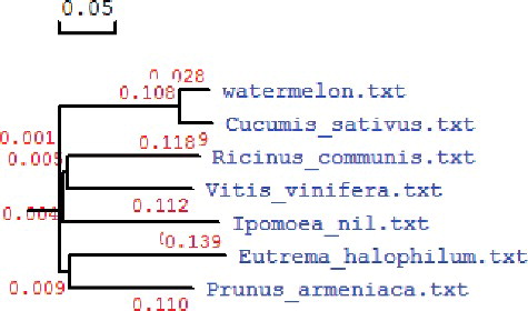 Figure 2. Phylogenetic tree of the deduced ZE proteins in seven plant species.