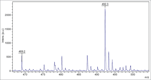 Figure 5. Mass-spectrometry analysis of the HPLC fraction of pH 2.0 incubated sample.