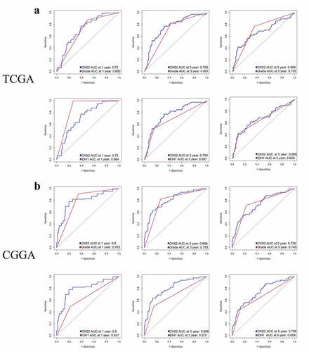 Figure 6. Time-dependent ROC analysis of CKS2, LGG grade and IDH1 mutation status in (a) the TCGA-LGG cohort and (b) the CGGA cohort