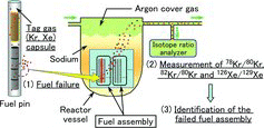 Figure 1. Gas tagging method employed in the prototype fast breeder reactor Monju. This figure is a modified form of a figure in [Citation1].