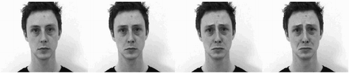 Figure 2. Static screenshots of the apex of the dynamic clips showing sadness at four levels of increasing intensity (from left to right, 0%, 25%, 75% and 100%). Source: Van der Schalk, Hawk, Fischer, Doosje.