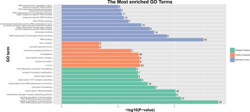 Figure 7 GO analysis of OVOLs co-expression genes predicted by DAVID.