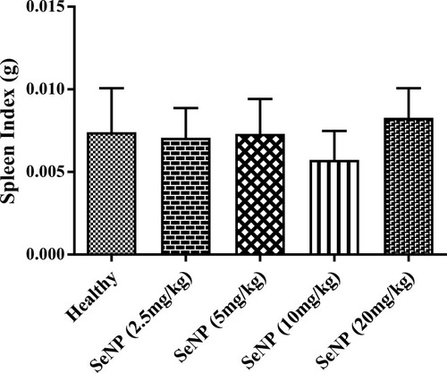 Figure 10 Spleen indices of SeNPs-administered healthy mice in comparison to the healthy control group. No significant difference was found in the spleen indices of the SeNPs treated groups at the doses of 2.5, 5, 10, and 20mg/kg with respect to the healthy mice (P=0.552).