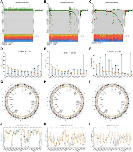 Figure 1 Genetic and transcriptional alterations of pyroptosis-related genes in gynecological tumors. (A–C) The mutation frequency of 25 pyroptosis-related genes in OV, UCEC, and CESC cohorts. (D–F) The frequency of CNV change of pyroptosis-related genes in OV, UCEC, and CESC cohorts. (G–I) The location of CNV alterations in pyroptosis-related genes on 23 chromosomes. (J–L) The expression distribution of 25 pyroptosis-related genes in normal and gynecological cancer tissues. *p<0.05, **p<0.01, and ***p<0.001.