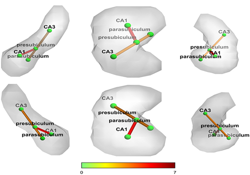 Figure 4 Significantly different functional connectivity analysis of hippocampal subfields among the 3 groups. Statistically significant zFCs between hippocampal subregions marked with color.