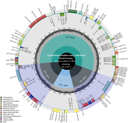 Figure 2. The detailed genome map of Cynanchum acutum subsp. sibiricum cp genome. The large single copy (LSC), small single copy (SSC) region and two inverted repeat regions (IRA and IRB), and GC content (light gray) are shown in the inside track. Gene models including protein-coding genes, tRNA genes, and rRNA genes are shown with various colored boxes in the outer track.