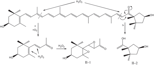 FIGURE 5 Possible mechanism of capsanthin fading after H2O2 treatment.