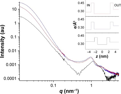 Figure 3 SAXS intensity spectra of LCN (black line), LCN_MaiLab (blue line), and SVT-LCN_MaiLab (red line).Notes: The corresponding electron density profiles (e/Å3) across the bilayer are shown in the insert. IN is the core region, and OUT is the bulk solvent region and z is the distance from the center of the bilayer. (e/Å3) is the electron density for number of electrons/volume.Abbreviations: SAXS, small-angle X-ray scattering; LCNs, lecithin/chitosan nanoparticles; Mai, Maisine; Lab, Labrafac; q, momentum transfer.