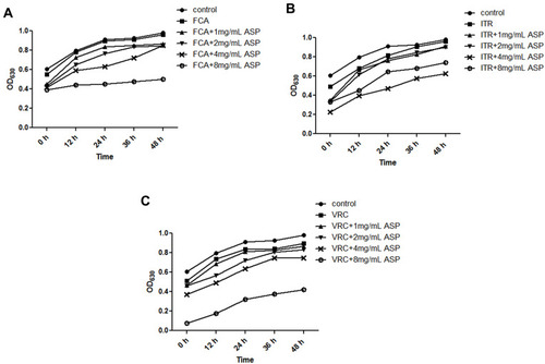 Figure 1 Time–growth curves of Candida albicans ZY23. Time–growth curves of ZY23 treated with (A) fluconazole (FCA) (B) itraconazole (ITR) or (C) voriconazole (VRC) alone or in combination with different concentrations of aspirin (ASA).