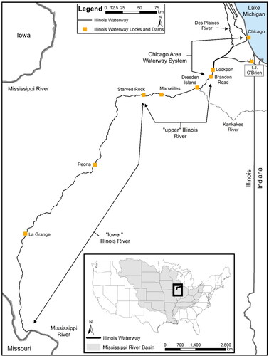 Figure 1. Map of the Chicago Area Waterway System (T.J. O’Brien, Lockport, and Brandon Road pools) to Lake Michigan, upper Illinois River (Dresden Island, Marseilles, and Starved Rock pools), and lower Illinois River (Peoria, La Grange, and Alton pools) sections of the Illinois Waterway sampled during 2019–2022 under the Multi-Agency Monitoring program. Locks and dams on the Illinois Waterway are represented by square symbols separating the navigational pools.