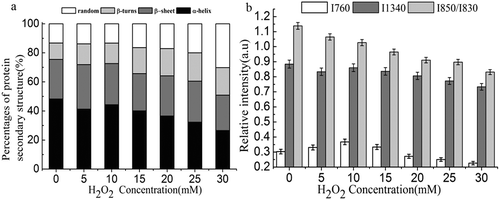 Figure 6. Relative content of the protein secondary structures (a) and normalized bands intensity (760 and 1340 cm–1) and I850/I830 intensity ratio (b) of non-oxidized and oxidized MP gel.