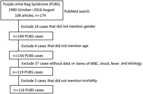 Figure 1. The process of enrolling 116 purple urine bag syndrome (PUBS) cases.