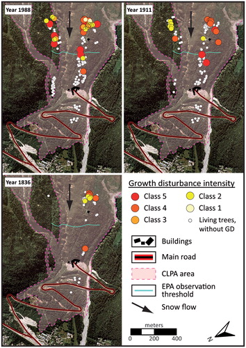 FIGURE 6. Spatial distribution of disturbed trees in the Pèlerins path in 1836, 1911, and 1988. Note that only avalanches reaching a determined observation threshold are recorded in the EPA database. For discussion, see text. GD = growth disturbance. CLPA defined in Figure 2, EPA in Figure 5.