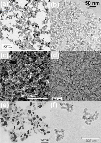 Figure 2. TEM and SEM images of titania nanoparticles synthesized by different chemical routes (a) Anatase nanocrystals obtained by hydrothermal treatment in acetic acid of amorphous electrospun TiO2 nanofibers. Reprinted with permission from Dai et al [Citation66], © (2009) American Chemical Society [Citation66]. (b) Anatase nanocrystals synthesized in benzyl alcohol, after annealing at 450 °C; reprinted with permission from Niederberger et al [Citation65], © (2002) American Chemical Society. (c) Acetate-capped anatase particles synthesized through hydrothermal treatment of titanium isopropoxide at 230 °C; reprinted from Barbé et al [Citation62], © (1997), with permission from John Wiley and Sons. (d) Tetramethylammonium-capped anatase particles synthesized by hydrothermal treatment of a titanium isopropoxide solution in water-propanol with tetramethylammonium hydroxide; reprinted from Chemseddine et al [Citation67], © (1999), with permission from John Wiley and Sons. (e) Tetramethylammonium-capped anatase nanoparticles produced by hydrothermal synthesis. Reprinted with permission from Yang et al [Citation68], © (2001), John Wiley and Sons. (f) Aeroxide P25 aggregated nanocrystals synthesized by flame pyrolysis. Reprinted with permission from Faure et al [Citation69], © (2010) Elsevier.