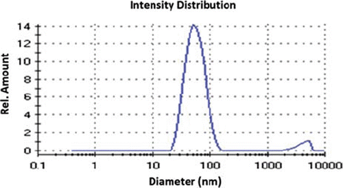 Figure 1. Size distribution of PHEMA nanoparticles.