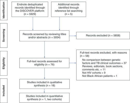 Figure 1. PRISMA flow diagram of systematic literature search and study selection.TB: Tuberculosis.