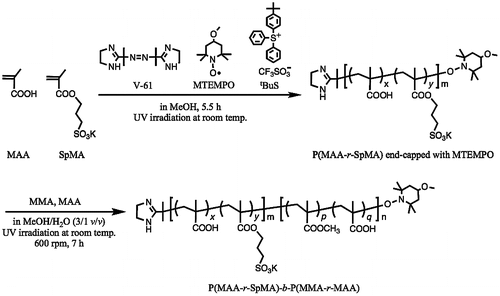 Scheme 1. Preparation of the P(MAA-r-SpMA)-b-P(MMA-r-MAA) diblock copolymers by the photopolymerization-induced self-assembly.