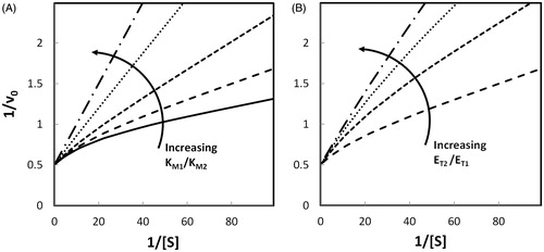 Figure 1. Simulation of the apparent negative cooperative behavior of two enzymes acting on the same substrate. Double reciprocal plots of reaction rates v0 versus substrate concentration were generated by computer-assisted simulation using Equation (8). Panel A: curves were plotted by fixing ET1 and ET2 at 1.0 μM, k + 2 and k + 4 at 1.0 s− 1, KM2 at 0.1 mM and varying KM1 from 0.005 mM to 0.1 mM. Ratios KM1/KM2 were 0.05 (solid line), 0.1 (long-dashed line), 0.2 (short-dashed line), 0.5 (dotted line), 1 (dashed dotted line). Panel B: curves were plotted by fixing k + 2 and k + 4 at 1.0 s− 1, KM1 and KM2 at 0.01 mM and 0.1 mM, respectively, and varying ET2/ET1 ratio at a fixed sum ET1 +ET2  =  2.0 μM. Ratios were 1 (long-dashed line), 3 (short-dashed line), 7 (dotted line) and 19 (dashed dotted line). The long-dashed line in Panel A corresponds to the long-dashed line in Panel B.