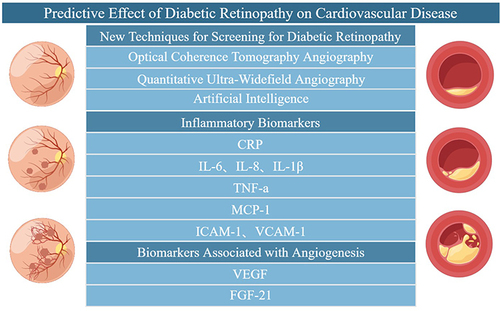 Figure 4 Predictive effect of diabetic retinopathy on cardiovascular disease (By Figdraw). Early screening of DR through the new technology of DR and related serum biomarkers to prevent the occurrence of atherosclerotic cardiovascular disease.