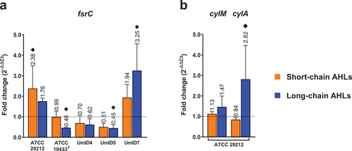 Figure 4. Differential expression of quorum sensing-related genes in biofilms of E. faecalis exposed to AHLs. Histograms display the transcription levels of fsrC (a) and cylM and cylA (b) as fold-changes calculated by the 2−∆∆Ct algorithm (y-axis). The genes cylM and cylA were present only in strain ATCC 29212. Differential expression from biofilms exposed to short-chain ALHs is displayed by orange bars and that of biofilms exposed to long-chain ALHs by blue bars. Bars show mean fold-change values and whiskers represent SEM (n = 4 biological replicates). The value of each mean is indicated above whiskers. The dotted line at y = 1 defines the expression level of each gene in the calibrator condition, normalised to the expression of the 16S rRNA gene. Black diamonds (♦) mark fold-changes in transcripts levels that were considered biologically relevant. Statistical comparisons between conditions were assessed with Mann–Whitney tests (α = 0.05).