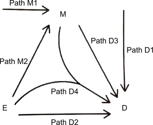 Figure 1 The two paths for M-stage and four paths for D-stage.