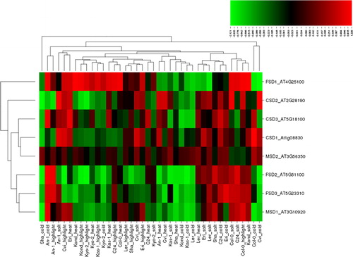 Figure 1. Heatmap showing the expression profiles of eight superoxide dismutase (SOD) genes (CSD1-3, FSD1-3 and MSD1-2) in 10 natural Arabidopsis ecotypes, An-1, Cvi, Col-0, C24, Eri, Kas-1, Kond, Kyo-2, Ler and Sha, under four different stress conditions, salinity (100 mmol/L NaCl), cold (10 °C), heat (38 °C) and high light (800 μmol photons m−2s−1). Green indicates the down-regulated genes; red shows the up-regulated genes under given stresses. Conditions (up) and genes (left) with similar expression profiles were hierarchically clustered using Pearson correlation.