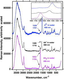 Figure 20. Raman spectra versus titration experiments on ascorbic acid dissolved in water. Bottom: Neat solution of ascorbic acid in oxygen poor water (pH = ∼2). Middle and top: After addition of the calculated amounts of NaOH solution, NaAH, and Na2A solutions were formed (middle, pH = ∼9, and top, pH = >12). Laser excitation: 488 nm. Spectrometer: DILOR-XY.