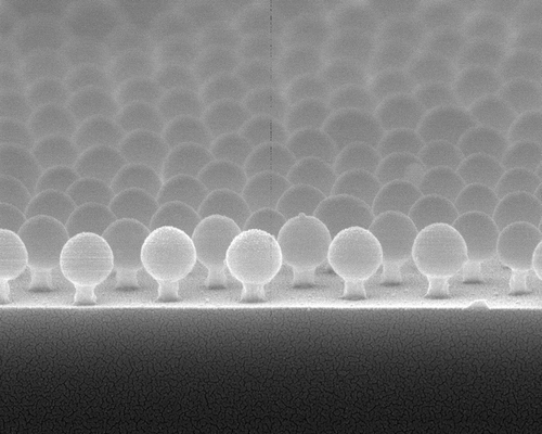 Tilted image on a scanning electron microscope of a templating array of 360-nm-diameter spheres of silica and the silicon nipples etched underneath. Courtesy of Prof. P. Jiang (University of Florida).