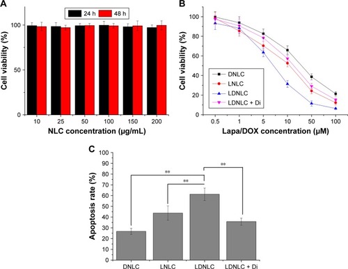 Figure 6 (A) Cell viabilities of MCF-7 ADR cells incubated with drug-free NLC at various concentrations for 24 and 48 h. (B) Cell viabilities of MCF-7 ADR cells incubated with DNLC, LNLC, and LDNLC (pretreated with/without 60 μM of dicoumarol [Di]) at various Lapa and DOX (Lapa: DOX = 1, w/w) concentrations for 48 h. (C) Apoptosis rate of MCF-7 ADR cells treated with different formulations for 48 h (Lapa/DOX concentration: 10 μM). **P < 0.01. Data were shown as mean ± SD (n = 3).Abbreviations: DNLC, DOX mono-delivery NLC; LNLC, Lapa mono-delivery NLC; LDNLC, NLC co-delivering Lapa and DOX; DOX, doxorubicin; NLC, nanostructured lipid carrier; Lapa, β-lapachone.