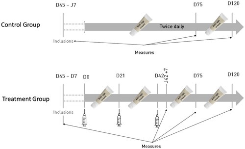 Figure 2. Study organogram with all time points.