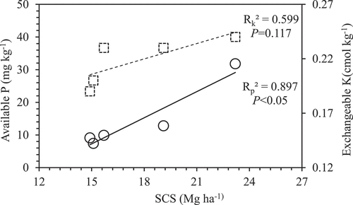 Figure 2. Relationship between SCS and available P◯), and exchangeable K (☐) among different ages of cocoa plantations.