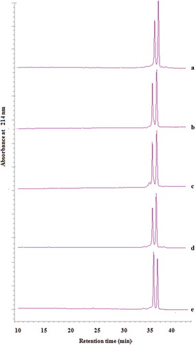 Figure 1. HPLC chromatographic of β-Lactoglobulin. (A) β-Lactoglobulin (standard), (B) β-Lactoglobulin (untreated), (C) ultrasound-treated 45°C—20 min—amplitude (AP) 30%, (D) ultrasound-treated 45°C—10 min—AP 20%, (E) ultrasound-treated 45°C—30 min—AP 40%.Figura 1. Cromatografía HPLC de β-lactoglobulina. (A) β-lactoglobulina (Estándar), (B) β-lactoglobulina (Sin tratamiento), (C) Con tratamiento de ultrasonido 45°C – 20 min – Amplitud (AP) 30%, (D) Con tratamiento de ultrasonido 45°C – 10 min – AP 20%, (E) Con tratamiento de ultrasonido 45°C – 30 min – AP 40%.