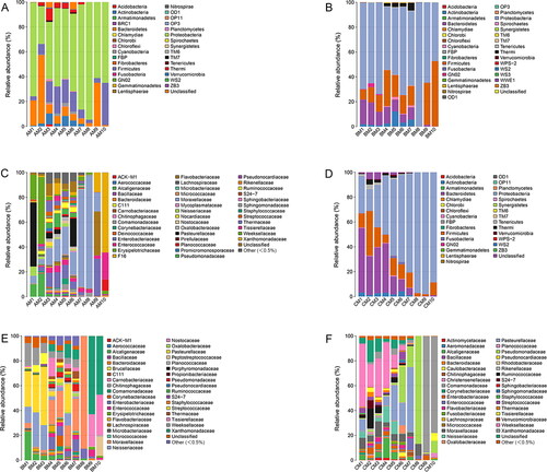 Figure 5. Bacterial community structure variation during decomposition in the buccal cavity at the phylum level and the family level. Relative abundance of bacterial phyla during decomposition in the buccal cavity in Group A (A), the buccal cavity in Group B (B), and buccal cavity in Group C (C). Relative abundance of bacterial families during decomposition in the buccal cavity in Group A (D), the buccal cavity in Group B (E) and buccal cavity in Group C (F). Sample names refer to samples as described in Table 1.