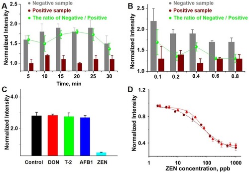 Figure 4 Systematic evaluation of GNC-labelled CLFA strips for rapid detection of ZEN. (A) and (B): influence of chromatographic time and GNC content on CLFA signal intensity, respectively. Normalized CLFA signal intensity of negative sample (gray), positive sample (red), and the ratio of the both (green). (C) and (D): Qualitative specificity and quantitative accuracy of GNC-labelled CLFA strips for ZEN detection, respectively.Abbreviations: ZEN, zearalenone; DON, vomitoxin; T-2, insariotoxin; AFB1, aLFAtoxin.