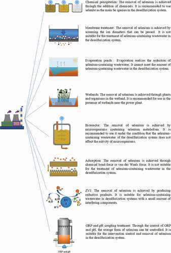 Figure 4. Comprehensive evaluation of eight selenium pollution treatment technologies.