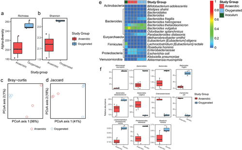 Figure 4. Compositional alteration of a human gut microbiome community in response to oxygenation in vitro. Alpha diversity assessed by (a) richness and (b) Shannon diversity (p < .05 for both, two-tailed Student’s t-tests). PCA plots of beta diversity shown as (c) Bray-Curtis and (d) Jaccard distances (p = .1 for both, PERMANOVA). (e) Heatmap showing relative abundance of genera showing alterations in the microbial community under anaerobic and oxygenated conditions. (f) Differentially abundant taxa between anaerobic and oxygenated conditions (FDR <0.05, linear models of logistic transformed abundances).