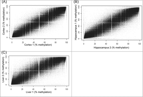 Figure 1. Reproducibility of cortex, hippocampus, and liver replicates. (A) Cortex. (B) Hippocampus. (C) Liver. Figures shown are scatter plots of comparisons between DNA methylation levels of tissue replicates. Data shown are a representative of one of the 3 comparisons between replicates of each tissue.