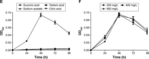Figure 2 Growth curves of MTB AMB-1 in various culture media.Notes: Growth curves with (A) different iron sources (20 μmol/L); (B) when the concentration of ferrous sulfate ranged from 20 to 160 μmol/L; (C) different nitrogen sources (200 mg/L); (D) when the concentration of sodium nitrate ranged from 200 to 800 mg/L; (E) different carbon sources (200 mg/L); (F) when the concentration of succinic acid ranged from 200 to 800 mg/L.Abbreviations: MTB, magnetotactic bacteria; OD600, optical density at 600 nm; h, hours.