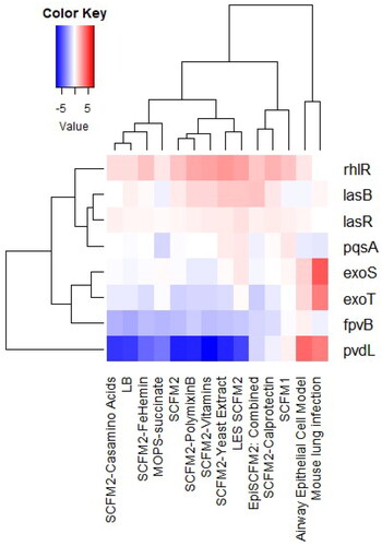 Figure 2. The expression of QS and virulence genes (rhlR, lasB, lasR, pqsA, exoS, exoT, fpvB, pvdL) across various models within P. aeruginosa PAO1 or LES (LES SCFM2). the gene expression is in comparison to that of CF sputum samples isolated from patients chronically infected with P. aeruginosa. Values at 0 represent no difference in expression between human CF sputum. Values >0 indicate higher expression in the model than in human sputum. Values <0 indicate less expression in the model than in human sputum. Created with rstudio (Lewin et al. Citation2023).