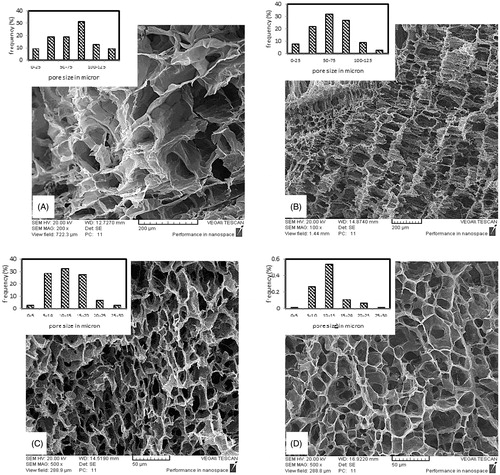 Figure 2. Cross sectional SEM image of scaffolds prepared by Gel/PVA ratio of 7:3, GA/Gel ratio of 2.8 and polymer solution concentration of (A) 2 wt % (B) 3 wt % (C) 4 wt % (D) 5 wt %.