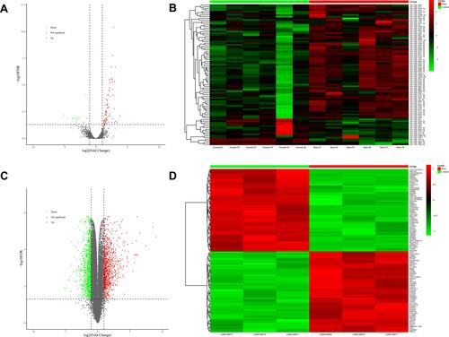 Figure 2 DEMs in plasma exosomes and DEGs in skin. (A) 85 DEMs identified from NGS of plasma exosomal small RNAs, including 14 downregulated miRNAs in green and 71 upregulated miRNAs in red, are exhibited in the volcano plot. (B) Heatmap of all DEMs with the intensity plot showing a relatively low expression in green and a relatively high expression in red. (C) 1861 DEGs identified from microarray data of skin gene expressions (GSE8056), including 1030 downregulated genes in green and 831 upregulated genes in red, are exhibited in the volcano plot. (D) Heatmap of top 100 DEGs with greatest significance, with the intensity plot showing a relatively low expression in green and a relatively high expression in red.