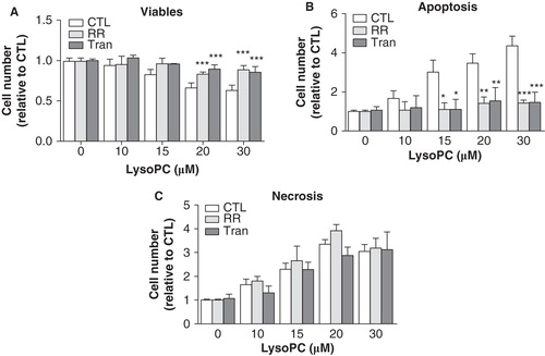 Figure 8. Stimulation of TRPV channels by lysoPC promoted cell apoptosis. MG-63 cells seeded in 12-well plates were incubated in serum-free culture medium without or with 10 μM RR or 100 μM Tranilast (Tran) in the presence of increasing concentrations of lysoPC for 24 h. The cells were then labeled with annexin-V-FITC and propidium iodide (PI) and fluorescence was analyzed by flow cytometry for viable (negative for annexin and PI), apoptotic (positive for annexin and negative for PI) and necrotic (negative for annexin and positive for PI) cells. Values are mean ± SEM of nine independent experiments. Bonferroni post test: *p < 0.05, **p < 0.01, ***p < 0.001 when compared to condition without RR or Tranilast.