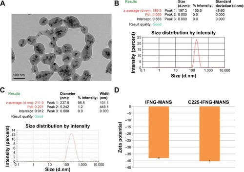 Figure 4 Characterization of IFNG-MANS and C225-IFNG-IMANS.